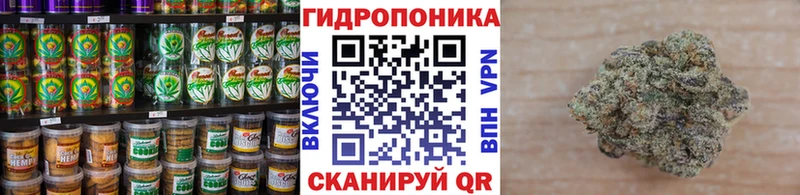 Еда ТГК марихуана  Купить закладки  Шатура 