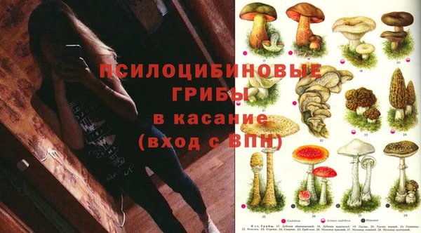 прущий лед Каменногорск