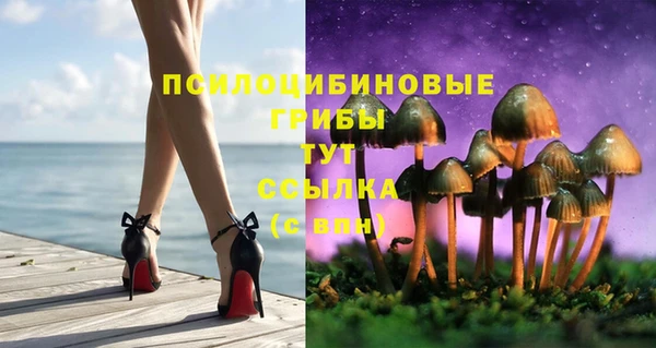прущий лед Каменногорск